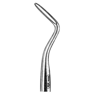 Asa Flohr Root Elevators, No. 1F, Straight, Each Each