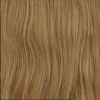 Secret Stylist Clip In Hair Extension