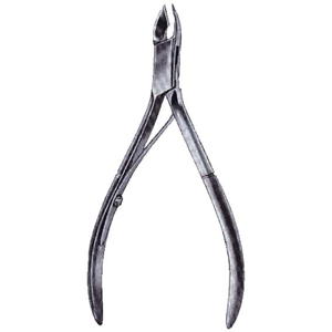 Livingstone Bone Cutter/Nail Clipper with Straight Jaw
