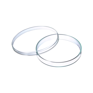 Petri Dish 10 Diameter x 2 Height cm, with Lid, Borosilicate Glass, Each Each