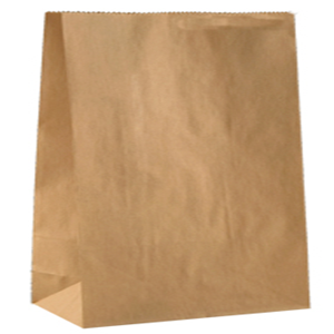 BROWN CHECKOUT PAPER BAG NO.1 210HX90WX50G 500/CT Carton