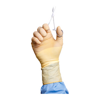Protexis Neoprene Essential Surgical Gloves, Powder Free, Non-Latex, Sterile, Size 6.0, 1 Pair/Pack