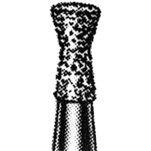 Intensiv 316C Diamond Burs Medium