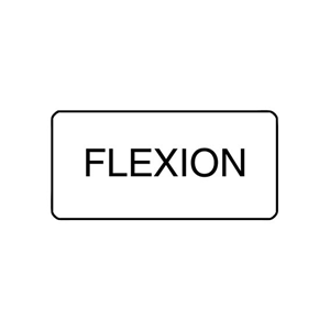 X-Ray Label 500/Box