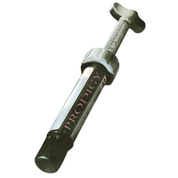 PRODIGY SYRINGE B2 4G (25899) Each