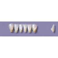 MYERSON ANTERIORS #12/73 (1x6 CARD) Card