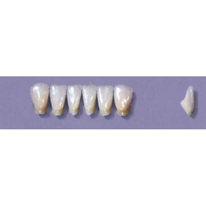 MYERSON ANTERIORS #12/73 (1x6 CARD) Card