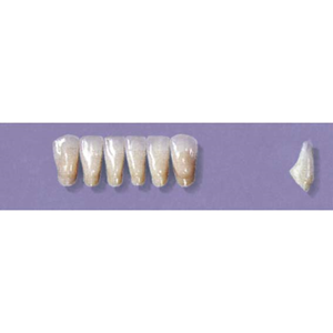 MYERSON ANTERIORS #3/69 (1x6 CARD) Card