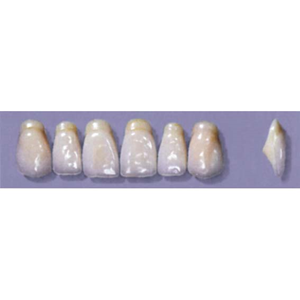 MYERSON ANTERIORS #A53/H (1x6 CARD) Card