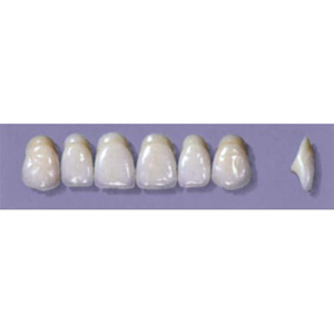 MYERSON ANTERIORS #A64/60 (1x6CARD) Card