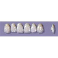 MYERSON ANTERIORS #A64/65 (1x6CARD) Card