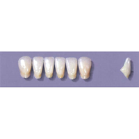 MYERSON ANTERIORS #A71/I (1x6 CARD) Card