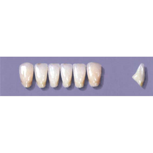 Myerson Anteriors #A11/70 (1 x 6 Card), Each