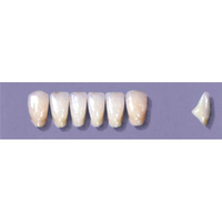 MYERSON ANTERIORS #A73/H (1x6 CARD) Card