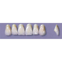MYERSON ANTERIORS #A9/69 (1x6 CARD) Card