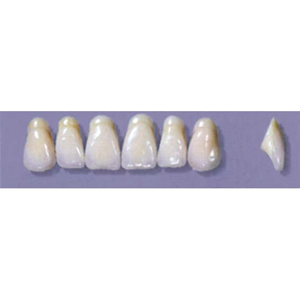 Myerson Anteriors #A11/70 (1 x 6 Card), Each