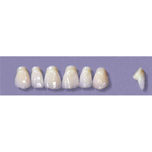MYERSON ANTERIORS #PM2/60 (1x6CARD) Card