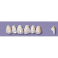 MYERSON ANTERIORS #PM2/65 (1x6CARD) Card