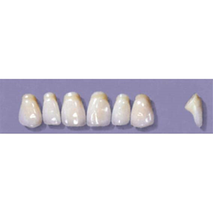 MYERSON ANTERIORS #PM4/60 (1x6CARD) Card