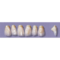 MYERSON ANTERIORS #PM6/69 (1x6CARD) Card