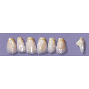 MYERSON ANTERIORS #PM6/F (1x6 CARD) Card