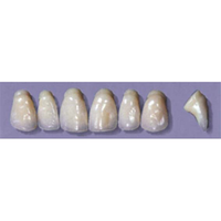 MYERSON ANTERIORS #PW6/69 (1x6CARD) Card