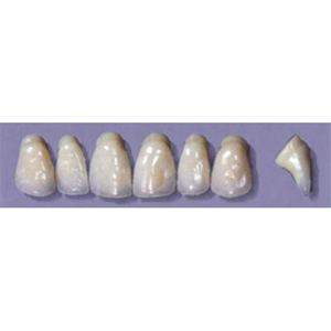 MYERSON ANTERIORS #PW6/69 (1x6CARD) Card