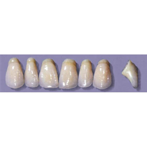 MYERSON ANTERIORS #PW8/F (1x6 CARD) Card