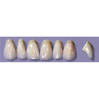 MYERSON ANTERIORS #PW8/G (1x6 CARD) Card
