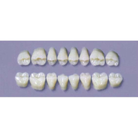MYERSON DURA POST #28SLL/65 (1x8 CARD) Card