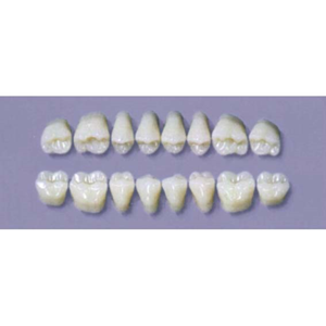 MYERSON DURA POST #28SLL/65 (1x8 CARD) Card