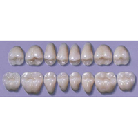 MYERSON DB SYN POST #32ML/58 (1x8 CARD) Card