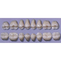 MYERSON DB SYN POST #34ML/C (1x8 CARD) Card