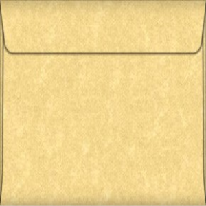 SPEC. PARCHTONE GOLD A4 89GSM 100/PK Pack