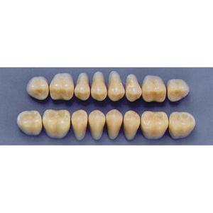ULTRADENT POST. 29L/A3 LOWER (1x8 CARD) Card