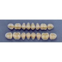 ULTRADENT POST. 29M/A2 LOWER (1x8 CARD) Card