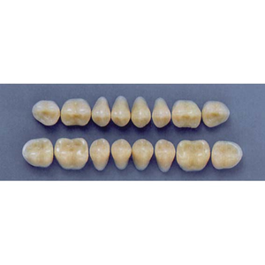 ULTRADENT POST. 29M/65 UPPER (1x8 CARD) Card