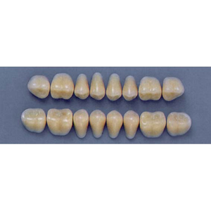 ULTRADENT POST. 29S/62 UPPER (1x8 CARD) Card