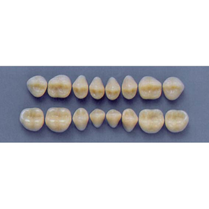 ULTRADENT POST 30S/59 LOWER (1x8 CARD) Card