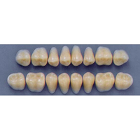ULTRADENT POST. 31L/62 LOWER (1x8 CARD) Card