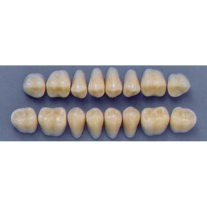 ULTRADENT POST. 31L/66 UPPER (1x8 CARD) Card