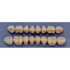 ULTRADENT POST. 31M/62 LOWER (1x8 CARD) Card