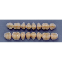 ULTRADENT POST. 31M/A3 LOWER (1x8 CARD) Card