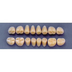 ULTRADENT POST. 31Z/65 LOWER (1x8 CARD) Card