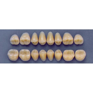 ULTRADENT POST. 32F/A3 LOWER (1x8 CARD) Card