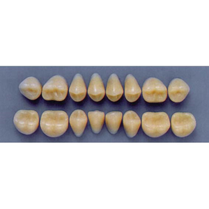ULTRADENT POST 32L/A3 LOWER (1x8 CARD) Card