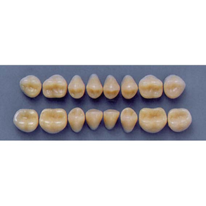 ULTRADENT POST 32M/A3 LOWER (1x8 CARD) Card