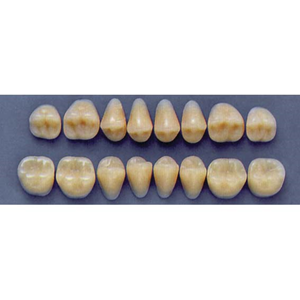 ULTRADENT POST. 33F/A3 LOWER (1x8 CARD) Card