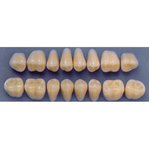 ULTRADENT POST. 33L/67 UPPER (1x8 CARD) Card