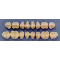 ULTRADENT POST. 33M/A2 LOWER (1x8 CARD) Card